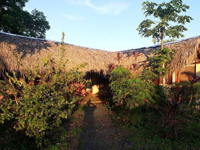 Hospedaje bananas