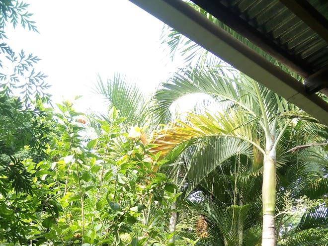 Hospedaje familiar mi casita