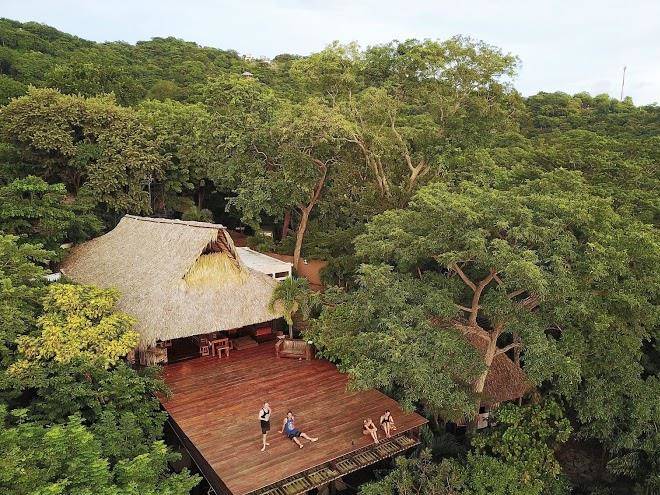 Buena vista surf club