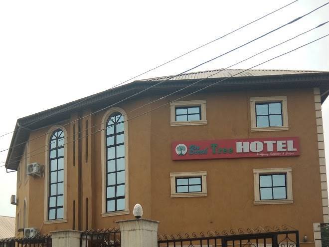Birch tree hotel