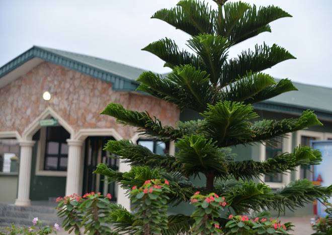 Delightsome hotel and resorts ltd
