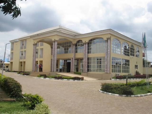 Elim top suites
