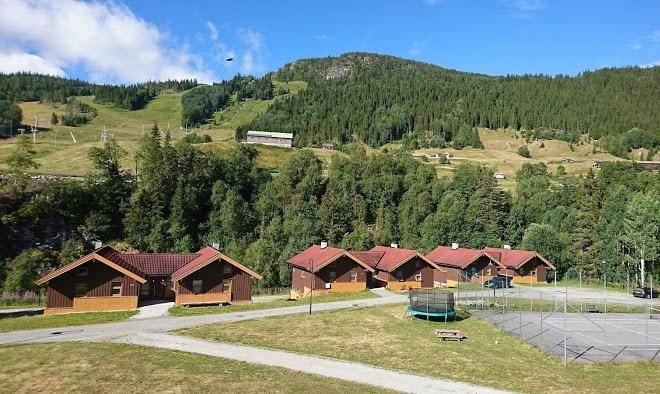 Actif hotel hallingdal