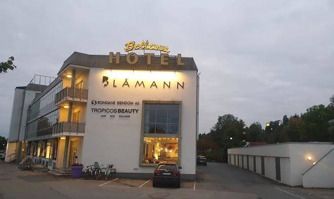 Bellevue hotel