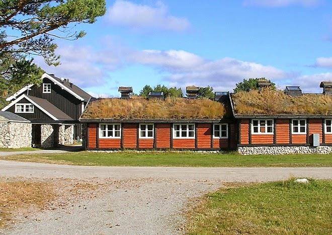 Femundtunet