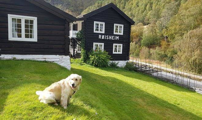 Roisheim hotel