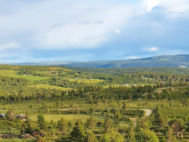 Sulseter fjellstugu