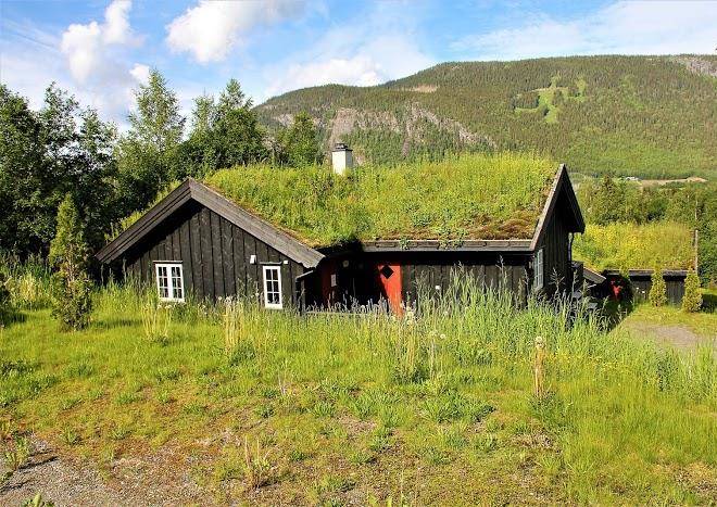 Hytte nordlia 11