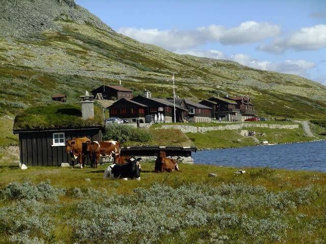 Smuksjoseter fjellstue