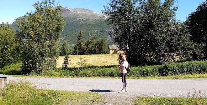 Pelssau stele gard