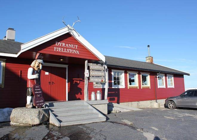 Dyranut fjellstova