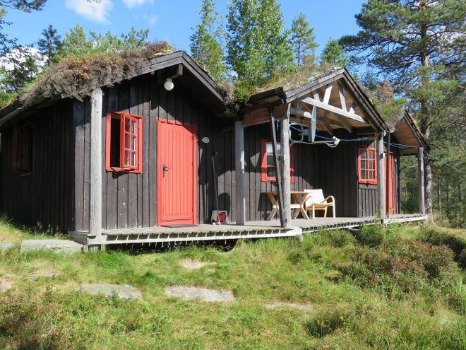 Hov hyttegrend