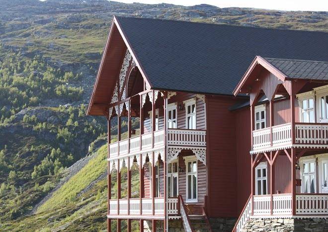 Turtagro hotel