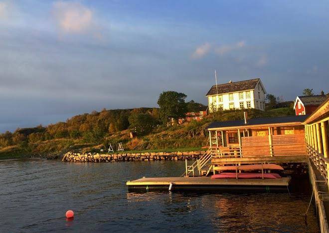 Kalle In Lofoten Image