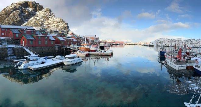 Live Lofoten As Image