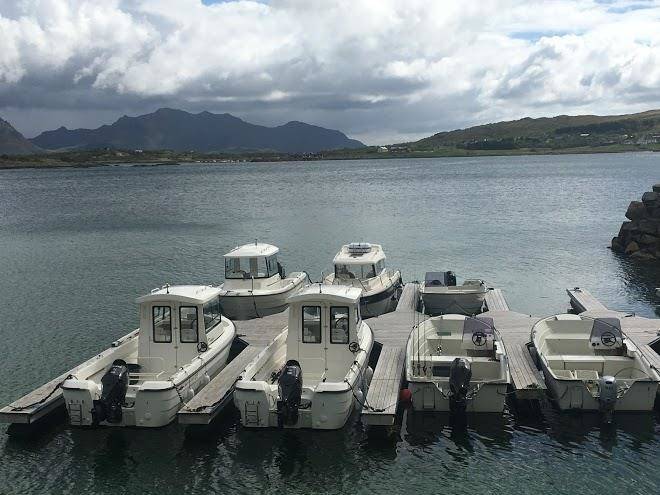 Lofoten fishing & wilds activities as