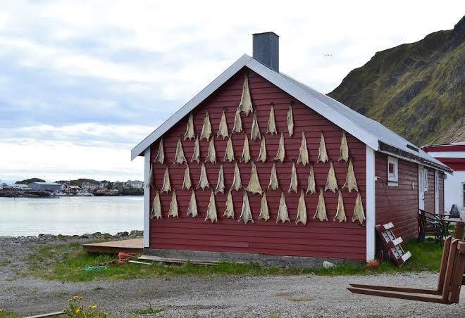 The fishing vessel iversen jr