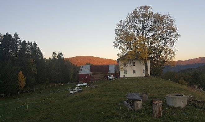 Tjonnas farm stay