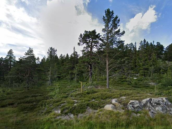 Gaustatoppen sportell