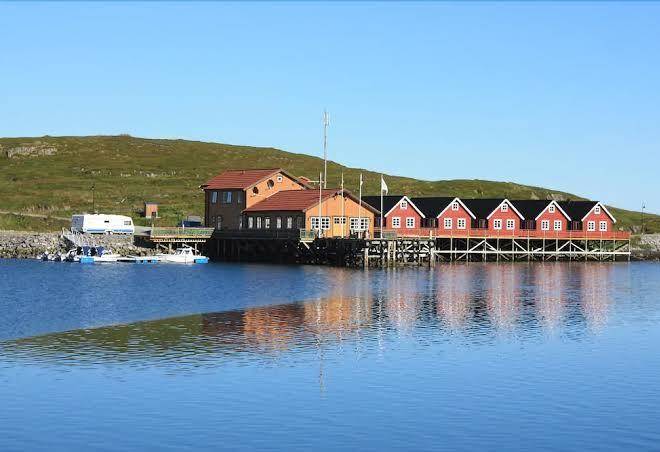 Nordic safari wildlife adventures as