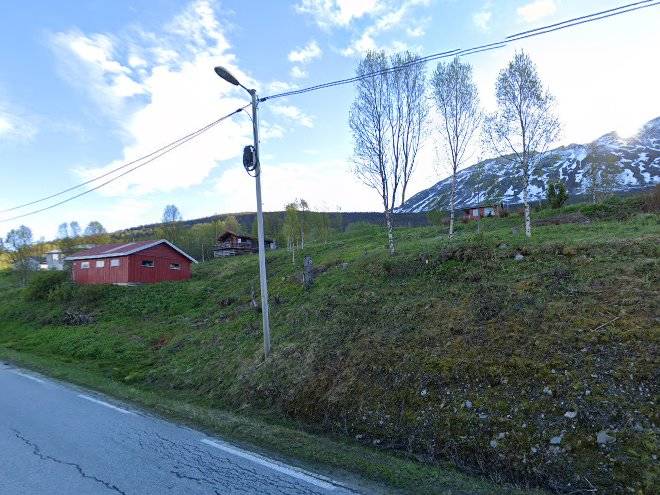 Birger elvevoll