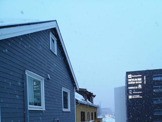 Tromso bed & books