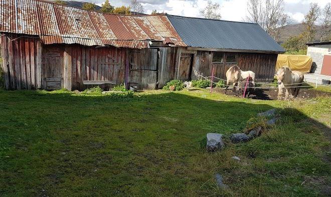 Bjaen Fjellstove Og Fjellgard Image