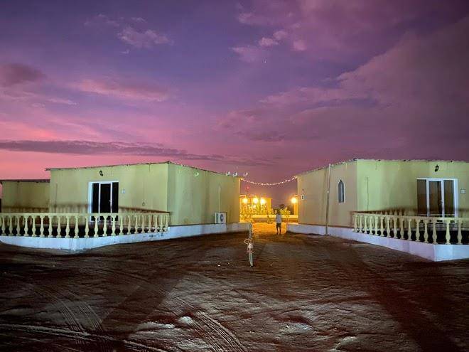 Golden palm oasis