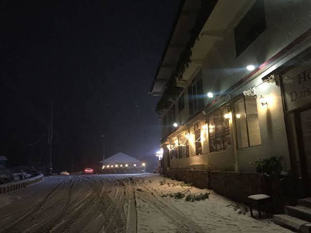 Daisy dot hotel