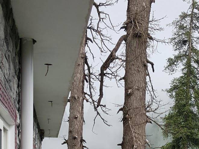 Mahgul resort