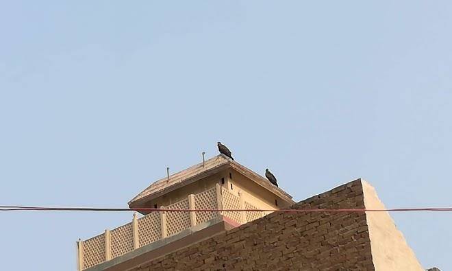 Maalik hotel & gulzar restaurant