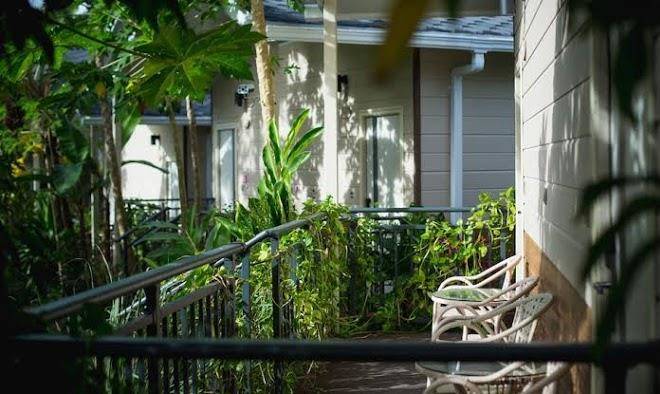 Airai forest resort