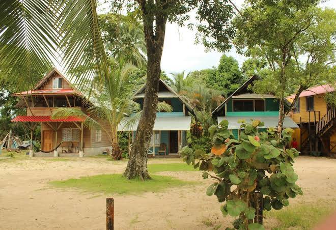 Coconut bungalows star beach