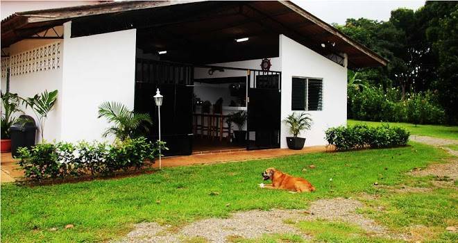 El rio negro sportfishing lodge