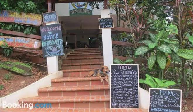 Hotel iguanito
