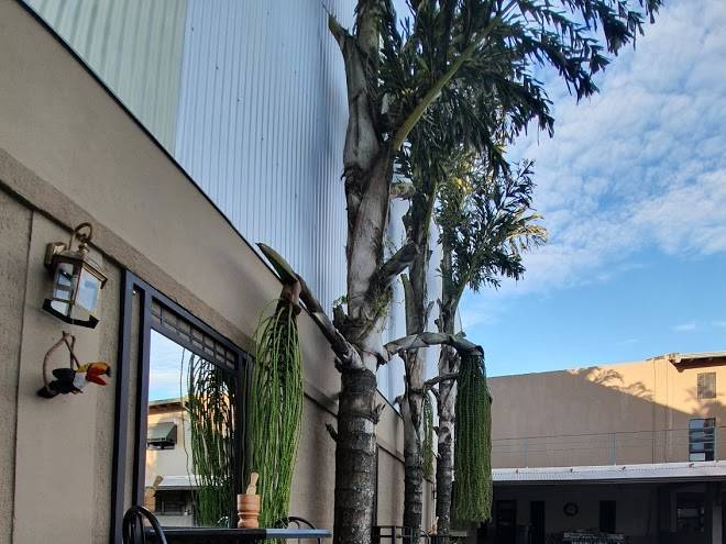 Puerta de hierro hotel boutique