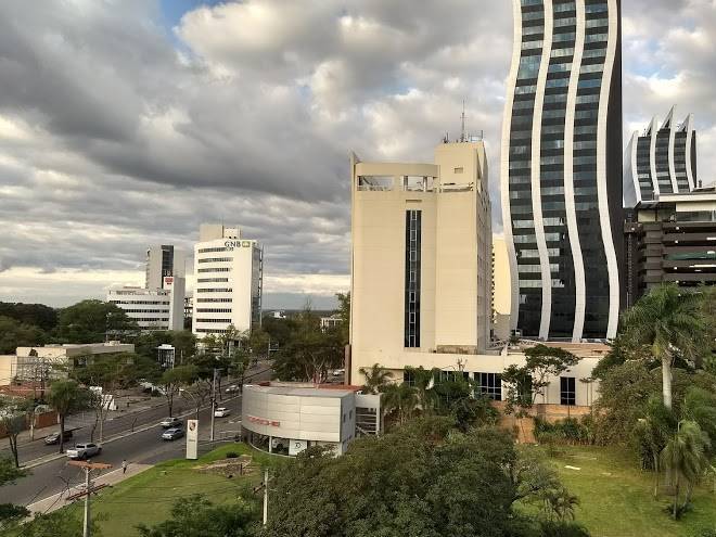 Ibis asuncion