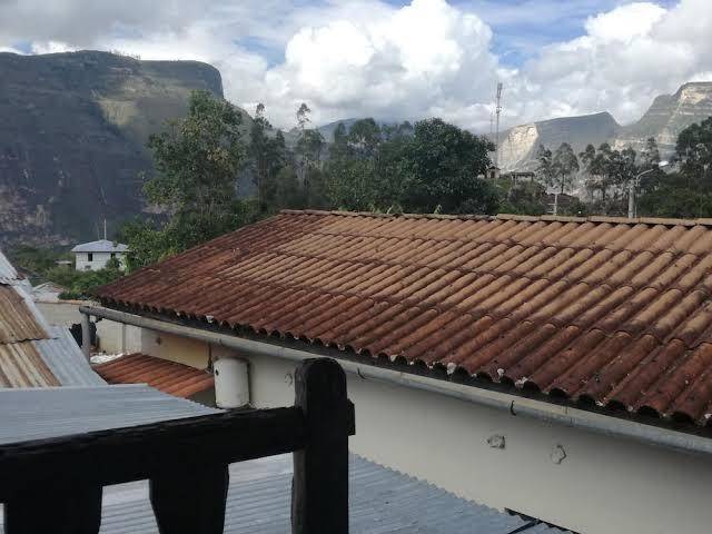 Gardenias de gocta