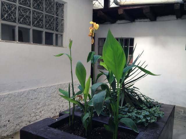 Chacha International Image