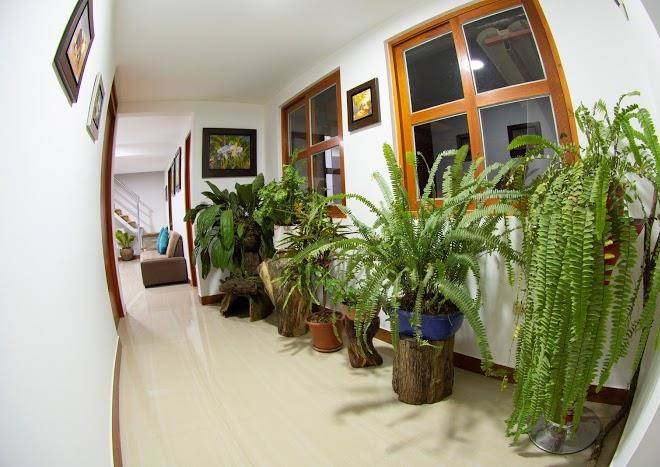 Hospedarte Amazonas Image