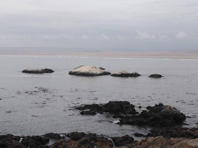 Lomas beach