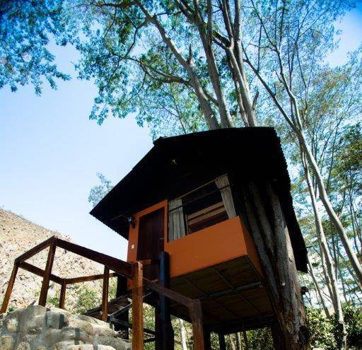 Cola de mono lodge