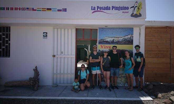 La posada pinguino