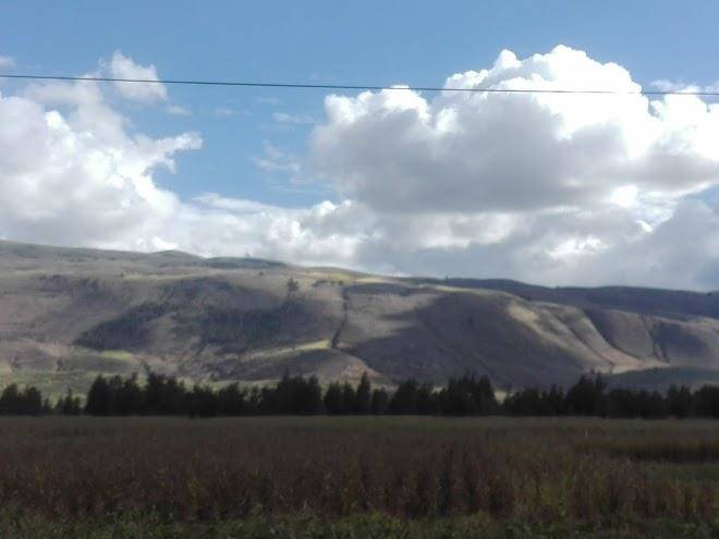 Sierra verde