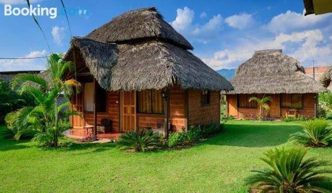 Bungalows el palmiche