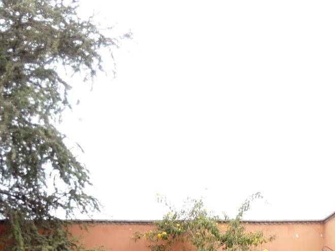 Hosteria san roque