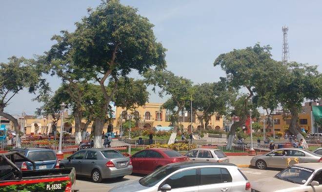 Hotel camelia