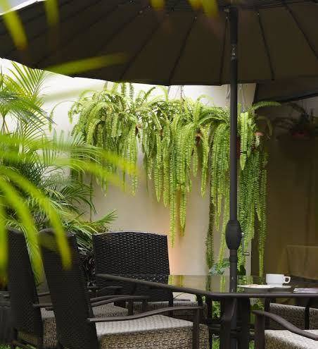Hotel san blas