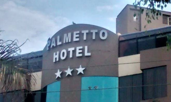 Palmetto san miguel