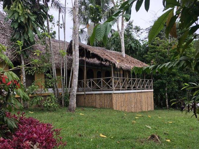 Amazon garden ecolodge boutique